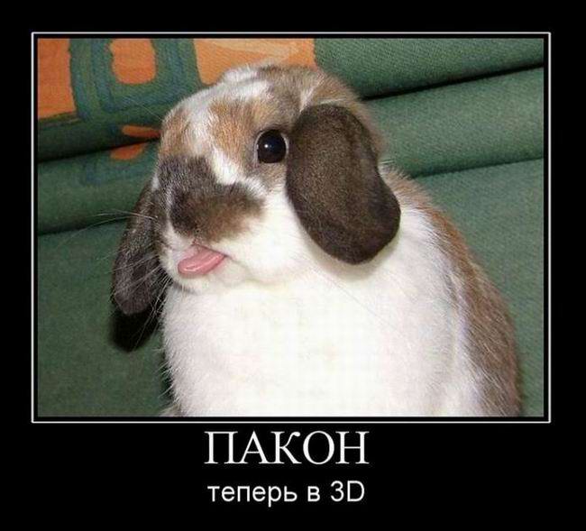    3D