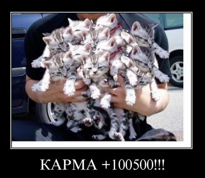 Карма +100500!!!