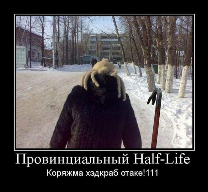  Hal-Life